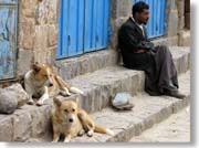 ����C�Ƃ�������