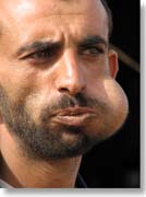 �J�[�g�łӂ��ꂽ�j