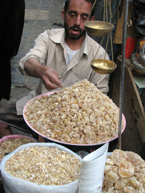 �����𔉂ɂ�����j