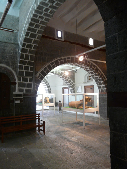 �ŏ�K�̓W��