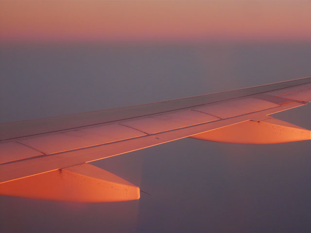 �[���ɐ��܂�H