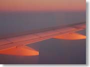 �[���ɐ��܂�H