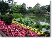 ���Ό�����