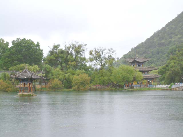 �ʐ������