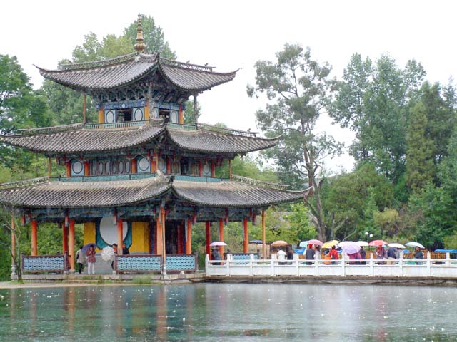 �ʐ�������̓����O