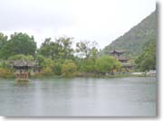 �ʐ������