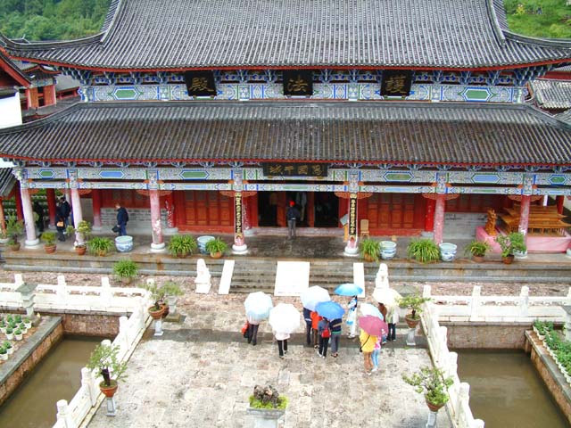 �����猩���S�c���L