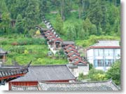 �Ζʂɕ��񂾌���