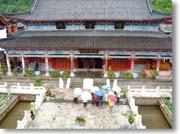 �����猩���S�c���L