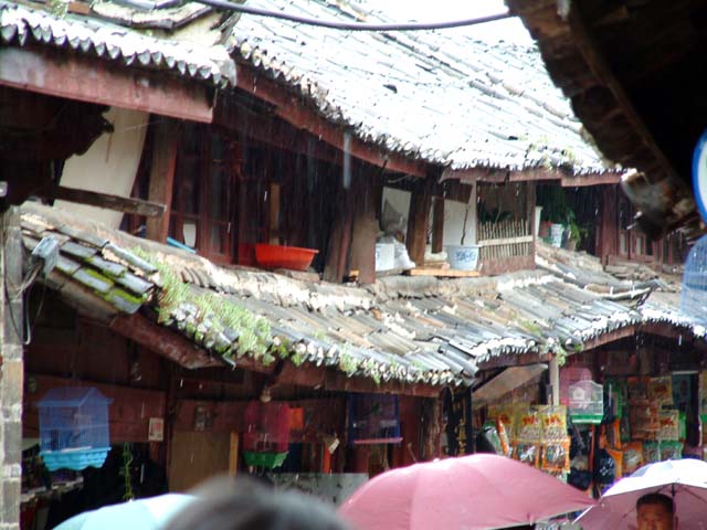 ���ꂻ���Ȓ����̉���