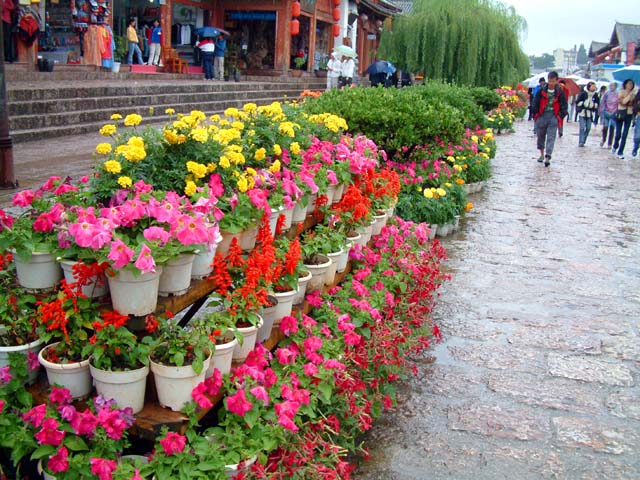 �Ԃ̂���ʂ�