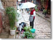 ���󂵂Ă��邨�΂���