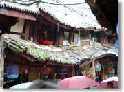 ���ꂻ���Ȓ����̉���