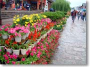 �Ԃ̂���ʂ�