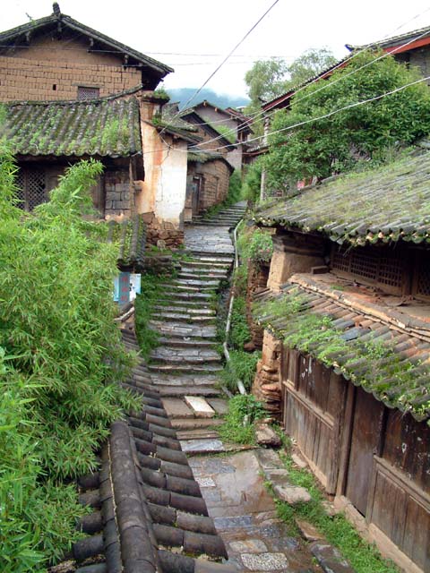 ����̕��i