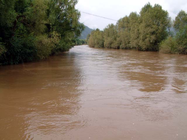 �݂苴�̐^�񒆂���B������