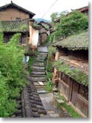 ����̕��i