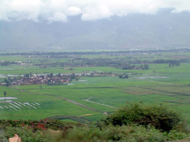 �c�����i