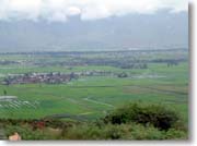 �c�����i