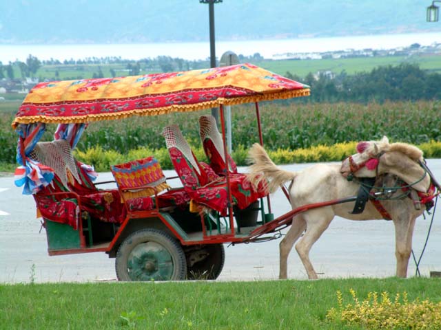 �嗝�Ï�ό��̔n�ԁH