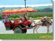 �嗝�Ï�ό��̔n�ԁH