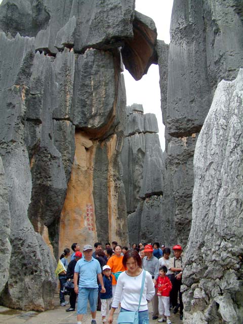 �����Ă������ȋ���