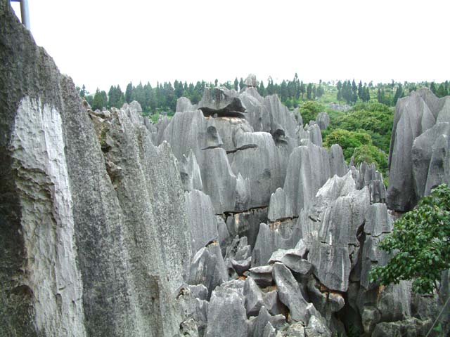 �W�]�䂩�猩���i�F�P