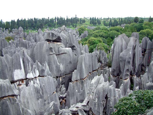 �W�]�䂩�猩���i�F�Q