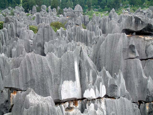 �W�]�䂩�猩���i�F�R