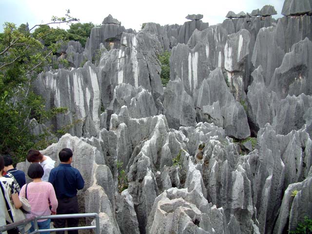 �W�]�䂩�猩���i�F�S