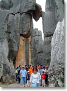 �����Ă������ȋ���