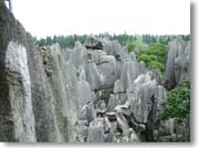 �W�]�䂩�猩���i�F�P