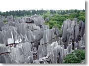 �W�]�䂩�猩���i�F�Q