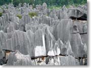 �W�]�䂩�猩���i�F�R