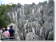 �W�]�䂩�猩���i�F�S