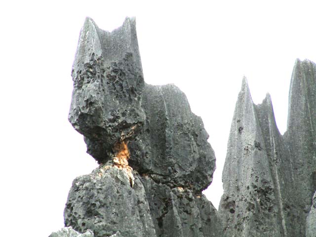 �L�̌`��������