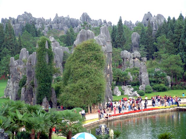 �l������