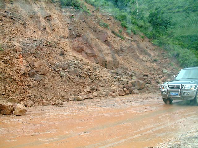 �y������