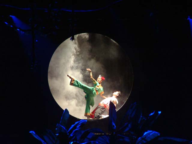 ���̒��̒j��