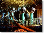 �O�l�̔���������