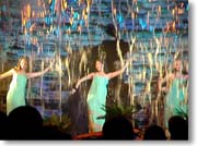 �J�̒��̔���