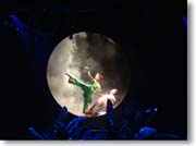 ���̒��̒j��